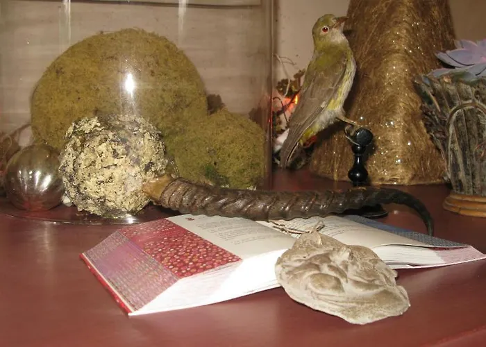 Les Cours Du Clain فندق مبيت وإفطار *